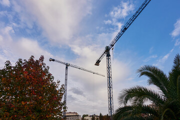 Construction crane against the sky. Construction of a residential building in a resort town. Blue cloudy sky. Below is a palm and maple.