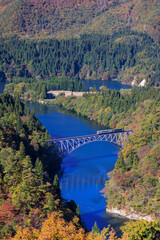 第一只見川橋梁を渡る列車と紅葉