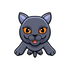 Cute british shorthair cat cartoon flying