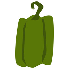 Green bell pepper vector illustration in flat color design