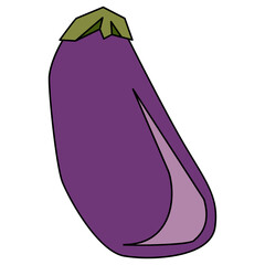 Eggplant vector illustration in line filled design