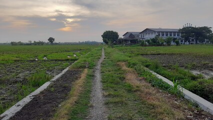landscape in the morning