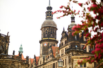 Saxon architecture in Dresden. Red flowering trees, in the historic part of the city