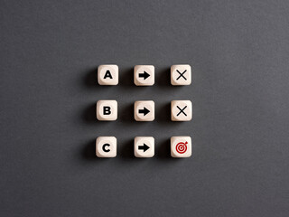 Choosing the most suitable business plan that leads to success. Goal achievement, planning,...