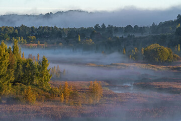 Fototapeta na wymiar Foggy dawn in Izborsko-Malskaya Valley, Pskov region