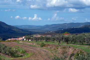 Fototapeta na wymiar Paysage méditerranéen de l'Istrie en Croatie autour du village de Buzet