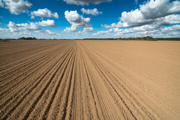 Fototapeta na wymiar plowed field and blue sky