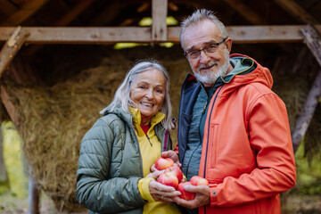 Senior couple giving apples at forest animal feeder.