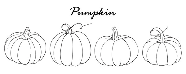 Outlines autumn set of pumpkins. Hand drawn black and white line art doodle. Vector illustration, hand drawing. Perfect graphic for Thanksgiving day, Halloween, greeting cards, posters, and more.