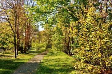 Würzburg, Herbst auf dem Festungsberg