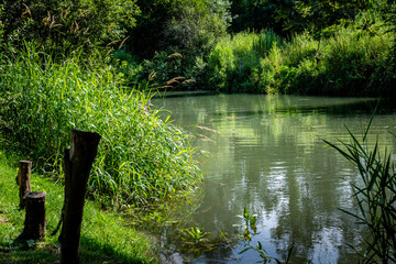 Les rives de la Canche
