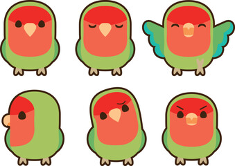 コザクラインコ　セット　フチあり