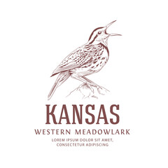 Vintage Logo. Kansas State Bird. Western Meadowlark