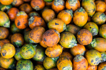 Cut betel nut or Areca nut