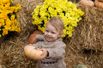 A small child holds a pumpkin in his hands on a background of hay