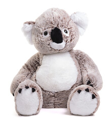 Large plush koala toy isolated