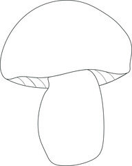 illustration of mushroom