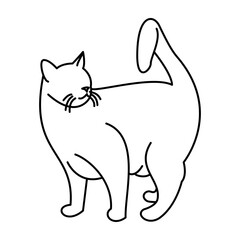 Big cat icon