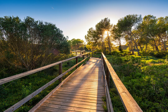 Spain, Balearic Islands, Menorca, Boardwalk in S'Albufera Nature Park at sunset