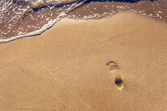 Single footprint on beach sand