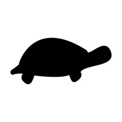 Turtle illustration