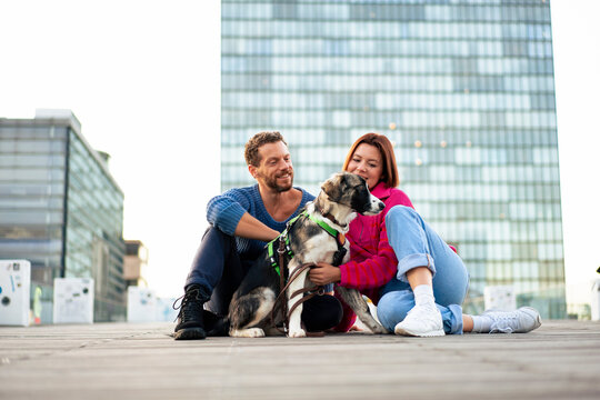 Happy couple spending leisure time with dog sitting on road in front of building