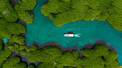 ariel view of a boat between the mangrove trees - obrazy, fototapety, plakaty