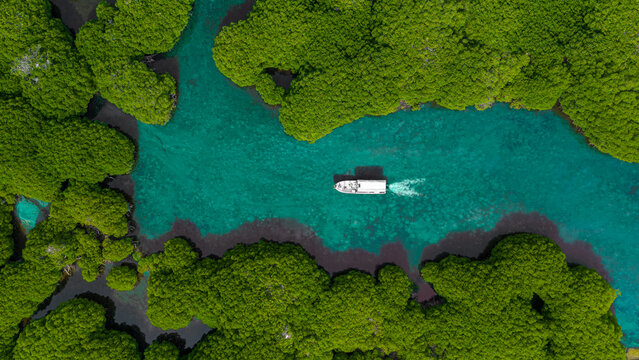 ariel view of a boat between the mangrove trees
