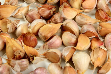 Lots of organically grown garlic cloves on a white background