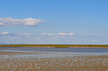 Saintes-Maries-de-la-Mer - le lagune della Camargue. Francia