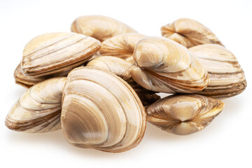 Edible raw clams isolated on white background. Delicacy food. © volff