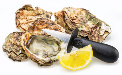 Opened and closed raw oysters isolated on white background. Delicacy food.