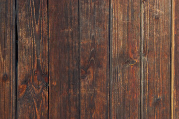 Dark brown board. Background texture of an old tree