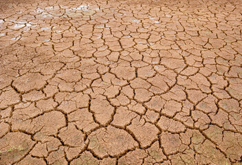 Sécheresse
