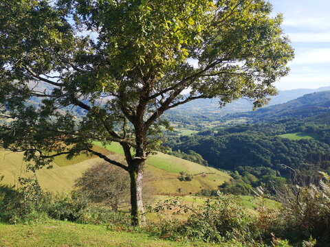 promotional photograph of the Bazt&aacute;n Valley, is a valley, university and Spanish municipality of the Comunidad Foral de Navarra, located in the merindad of Pamplona,