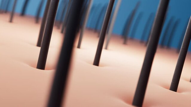 3D rendering animation of close-up oil or serum drop on skin of head for growthing hair and rejuvenating hair, hair beauty concept