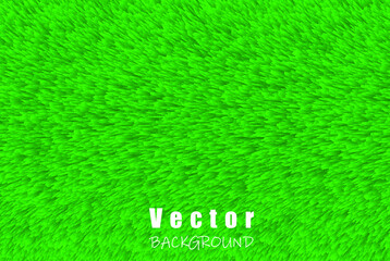 Vector abstract with green lawn grass for design background  © Anayatul