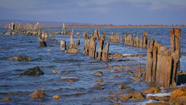 Once the modern Black Sea estuaries were freshwater, as the river flow decreased, their salinity increased. So on the Kuyalnik estuary 150 years ago, salt was evaporated. Piles of old dams.