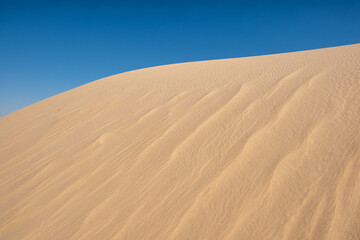 Sahara Tunez