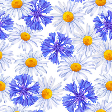 seamless pattern with drawing summer blue cornflowers and daisy flowers at white background , hand drawn botanical illustration