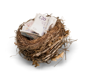 Nest with British Pounds In It