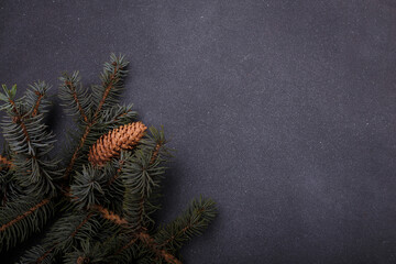Blue fir tree branch with big cone on grey wooden background. Merry Christmas blank card,...
