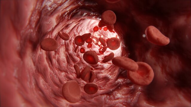 Red blood cell body erythrocyte, saturation of the human body with oxygen. Movement of erythrocyte cells through the capillaries. Oxygen transfer from hemoglobin to myoglobin. 3d render