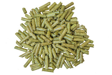 Alfalfa herb on a white background, isolate, close-up