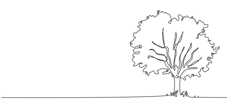 continuous single line drawing of broadleaf tree isolated on white, line art vector illustration