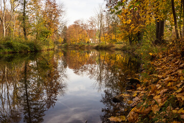 Fototapeta na wymiar Beatuful vivid colorful autumn landscape reflecting at the river