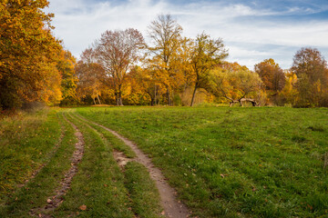Beautiful colorful vivid autumn walk in forest and meadow, Czechia