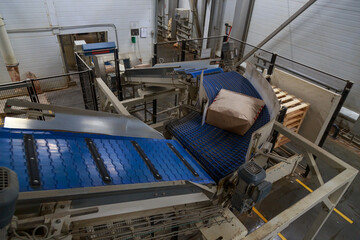 Packaging line of chicken farm production.