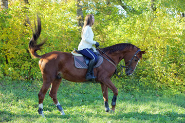 Beautiful equestrian girl ride horseback in autumn forest
