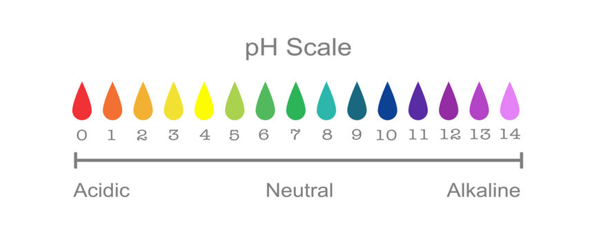 pH scale fluid drop acidic neutral and alkaline science education chemistry illustration 
